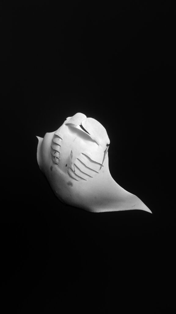 UWPortfolio-10